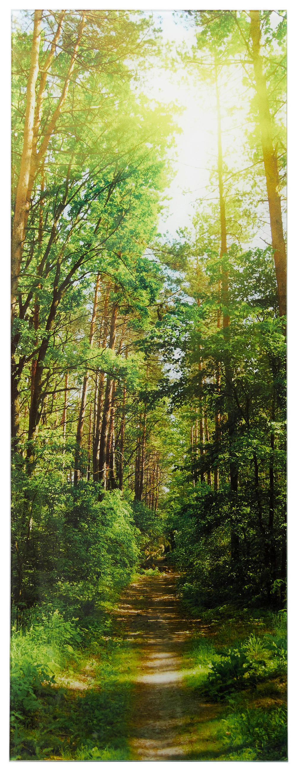 GLASBILD Landschaft & Natur  - Multicolor, Natur, Glas (30/80/1,40cm) - Euroart