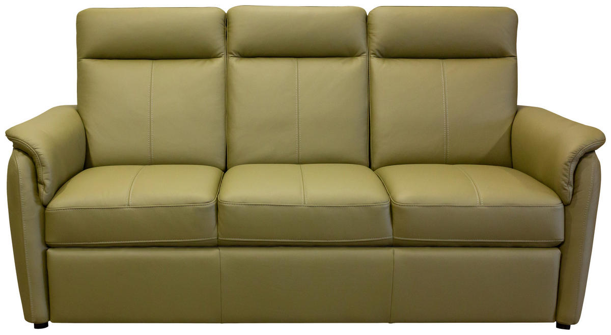 ÜLŐGARNITÚRA bőr zöld  - fekete/zöld, Basics, műanyag/bőr (191/100/94cm) - Andante