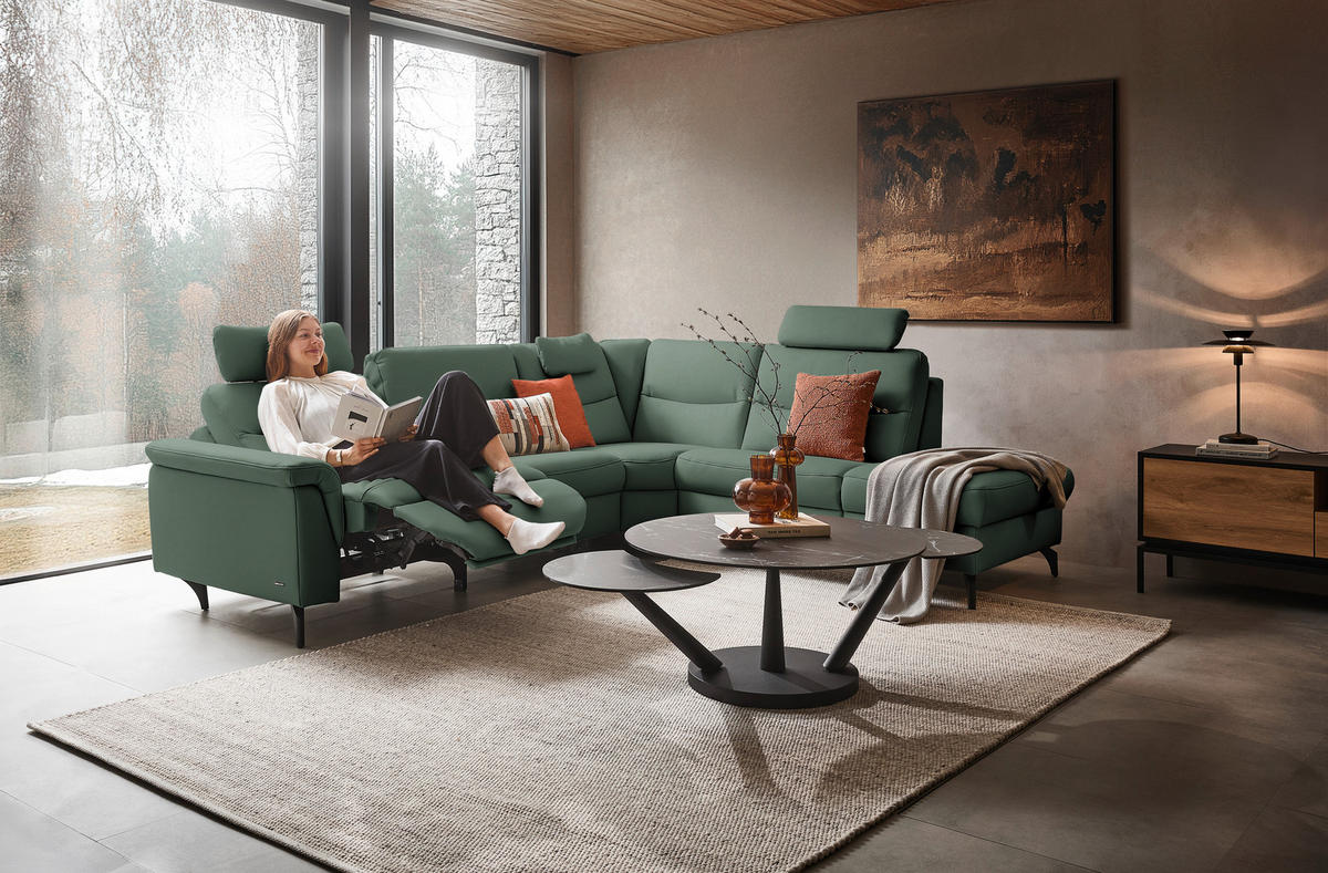 ECKSOFA  in Echtleder Waldgrün  280/249 cm  - Waldgrün/Anthrazit, Design, Leder/Metall (280/249cm) - Himolla Komfortklass