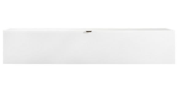 HÄNGEELEMENT in Weiß - Edelstahlfarben/Weiß, Design, Glas/Holzwerkstoff (164,6/32,4/28,9cm) - Hom`in