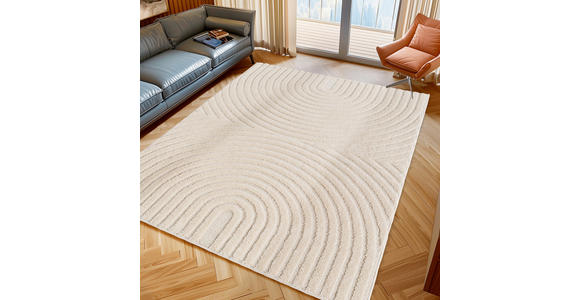 FLACHWEBETEPPICH 120/170 cm ART Creme  - Creme, Basics, Kunststoff/Textil (120/170cm) - Novel