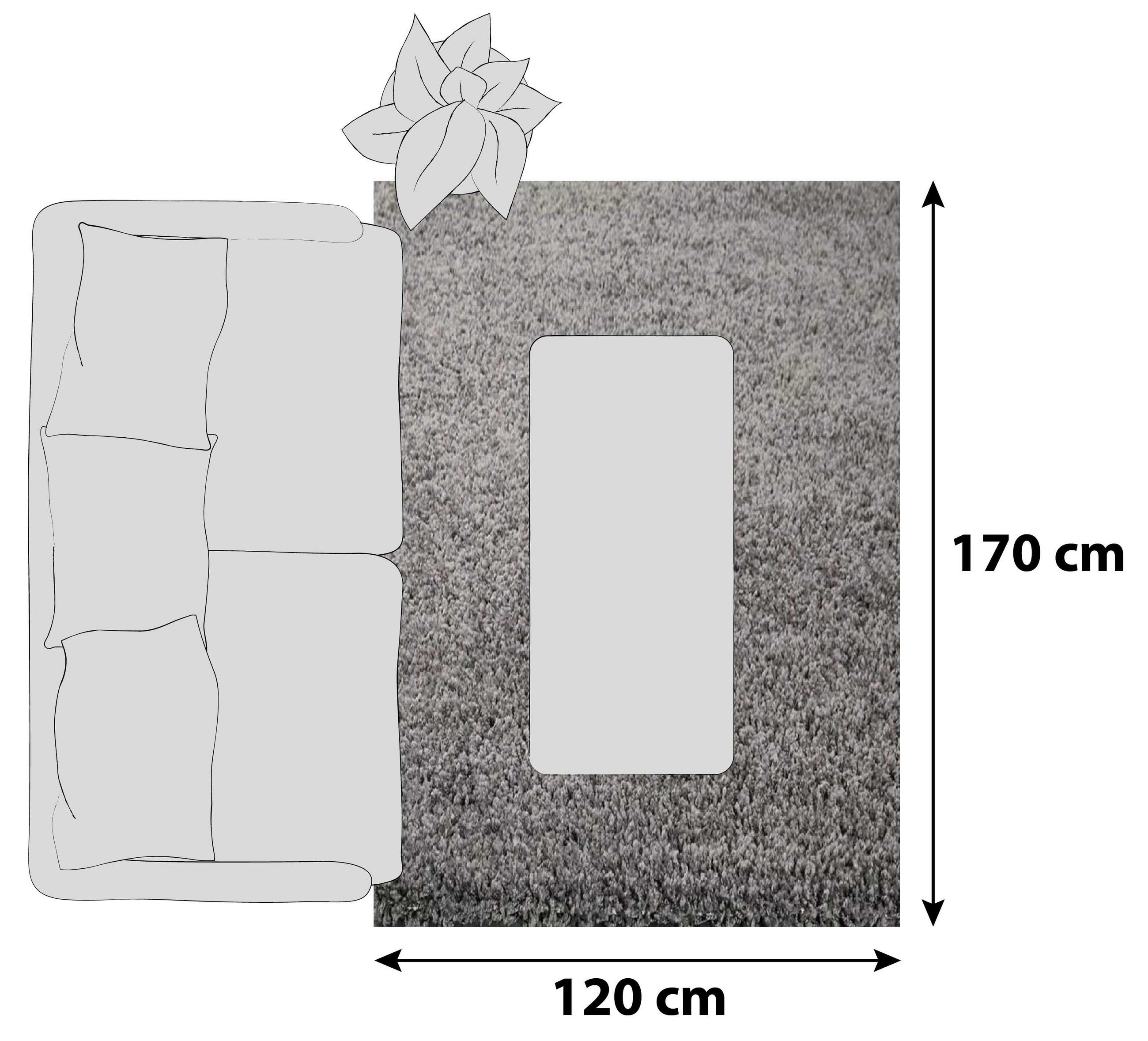 HOCHFLORTEPPICH 120/170 cm Prime Anthrazit  - Anthrazit, MODERN, Textil (120/170cm)