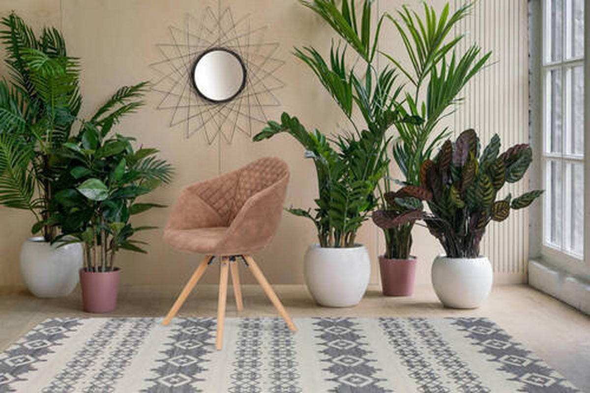 SADA ŽIDLÍ 2 kusy - hnědá, Lifestyle, dřevo/textil (59/82/55cm)