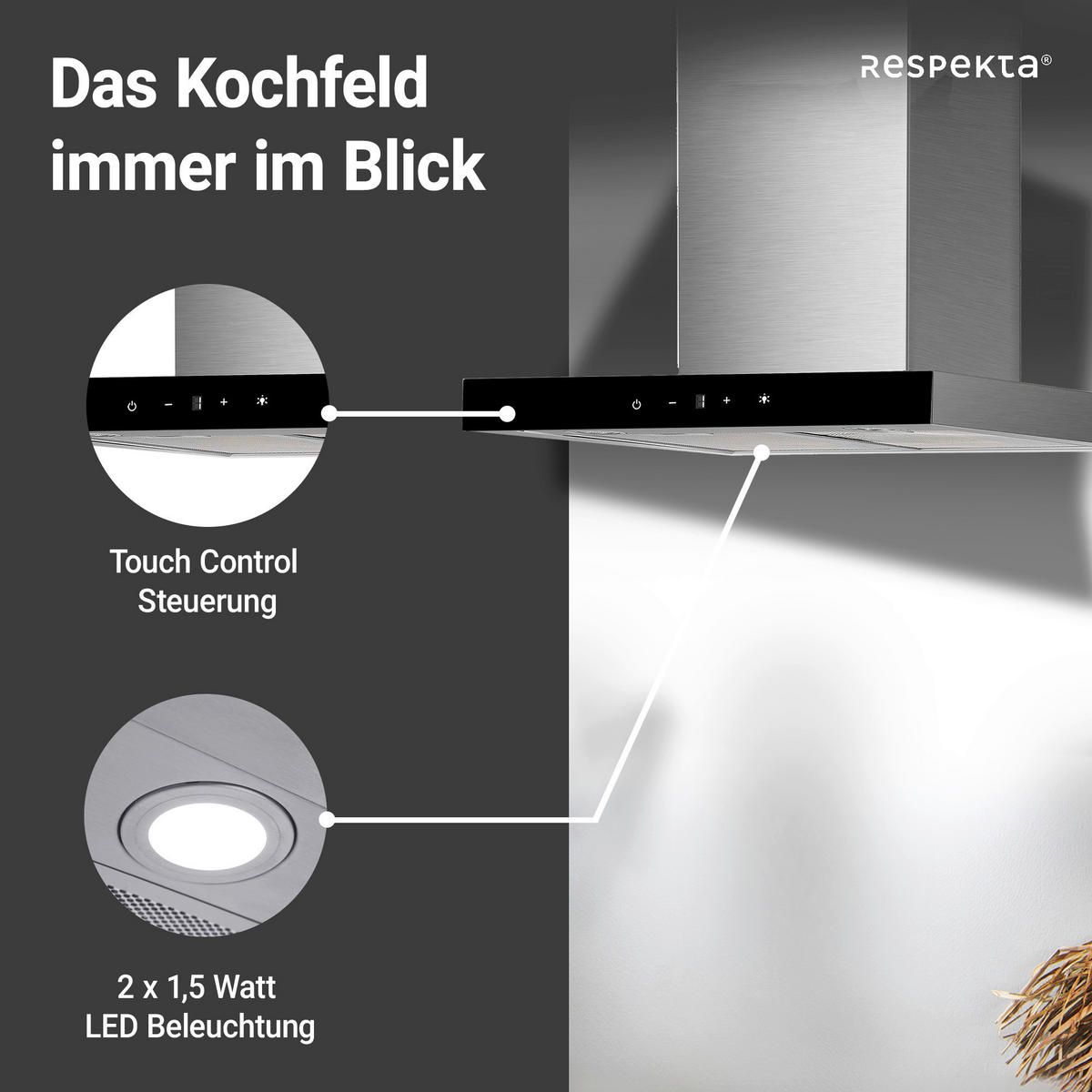 DUNSTABZUGSHAUBE 190030006002-20  - Edelstahlfarben, Basics, Metall (59,5/55-100/50cm) - Respekta