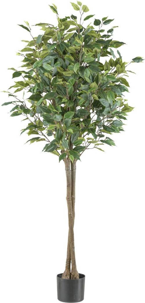 KUNSTPFLANZE Ficus Benjamina 125 cm - Schwarz/Braun, Design, Kunststoff (125cm) - P & B