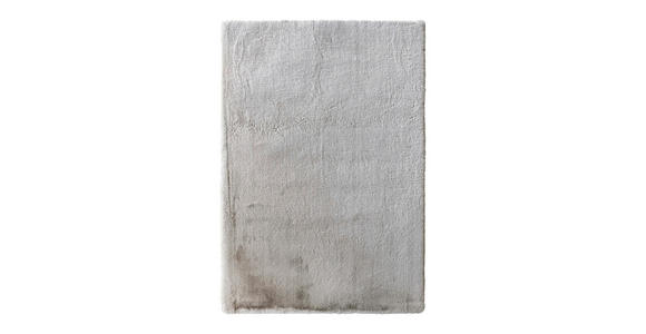 HOCHFLORTEPPICH 60/110 cm Yogi Taupe - Taupe, Design, Textil (60/110cm) - Novel