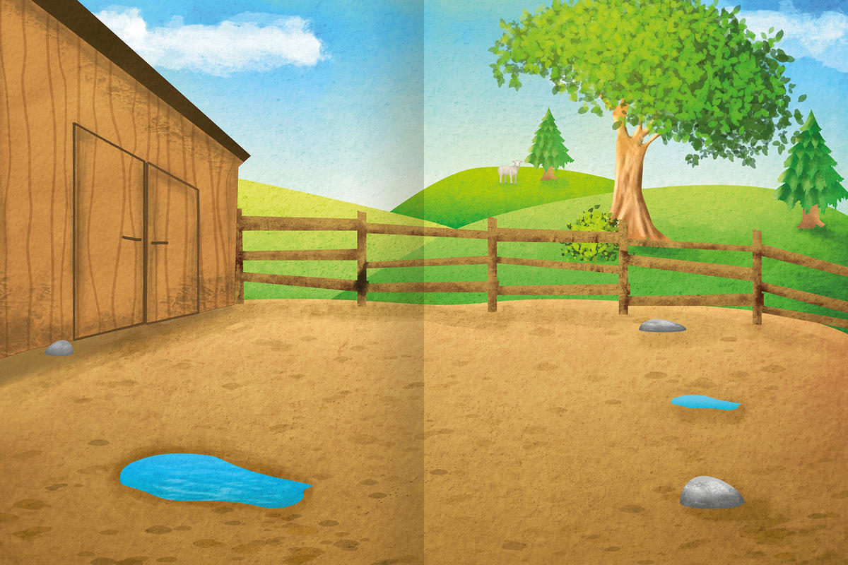 BUCH  - Multicolor, Basics, Papier (21/28/1cm)