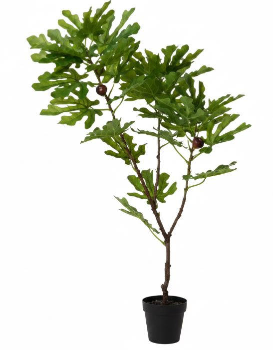 VEŠTAČKA BILJKA   50/85/45 cm           - Osnovno (50/85/45cm) - Ambia Home