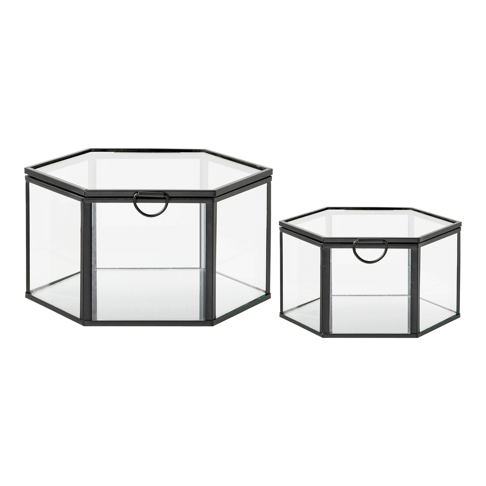 XXXLutz Dekodose Torpe Box Schwarz, Transparent