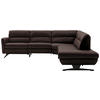 ECKSOFA in Echtleder Dunkelbraun  286/258 cm  - Dunkelbraun/Schwarz, Design, Leder/Metall (286/258cm) - Schöner Wohnen