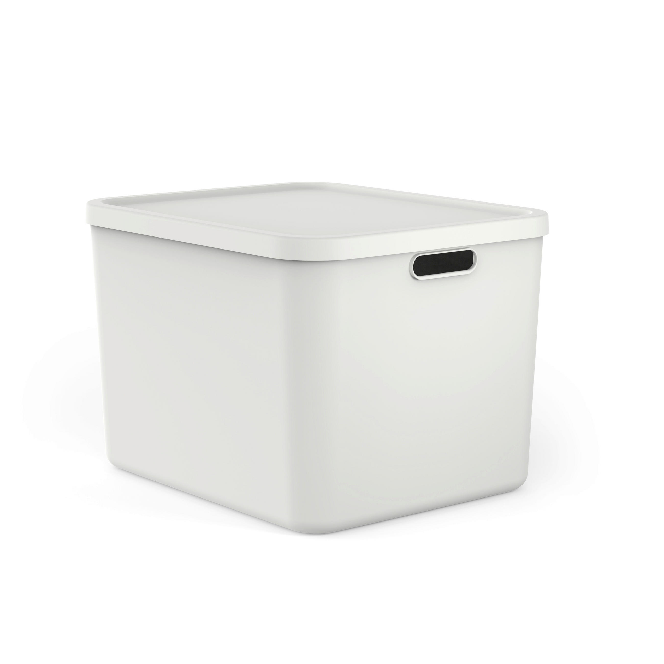 AUFBEWAHRUNGSBOX Albula  - Weiß, KONVENTIONELL, Kunststoff (48,9/40,5/34cm) - Rotho