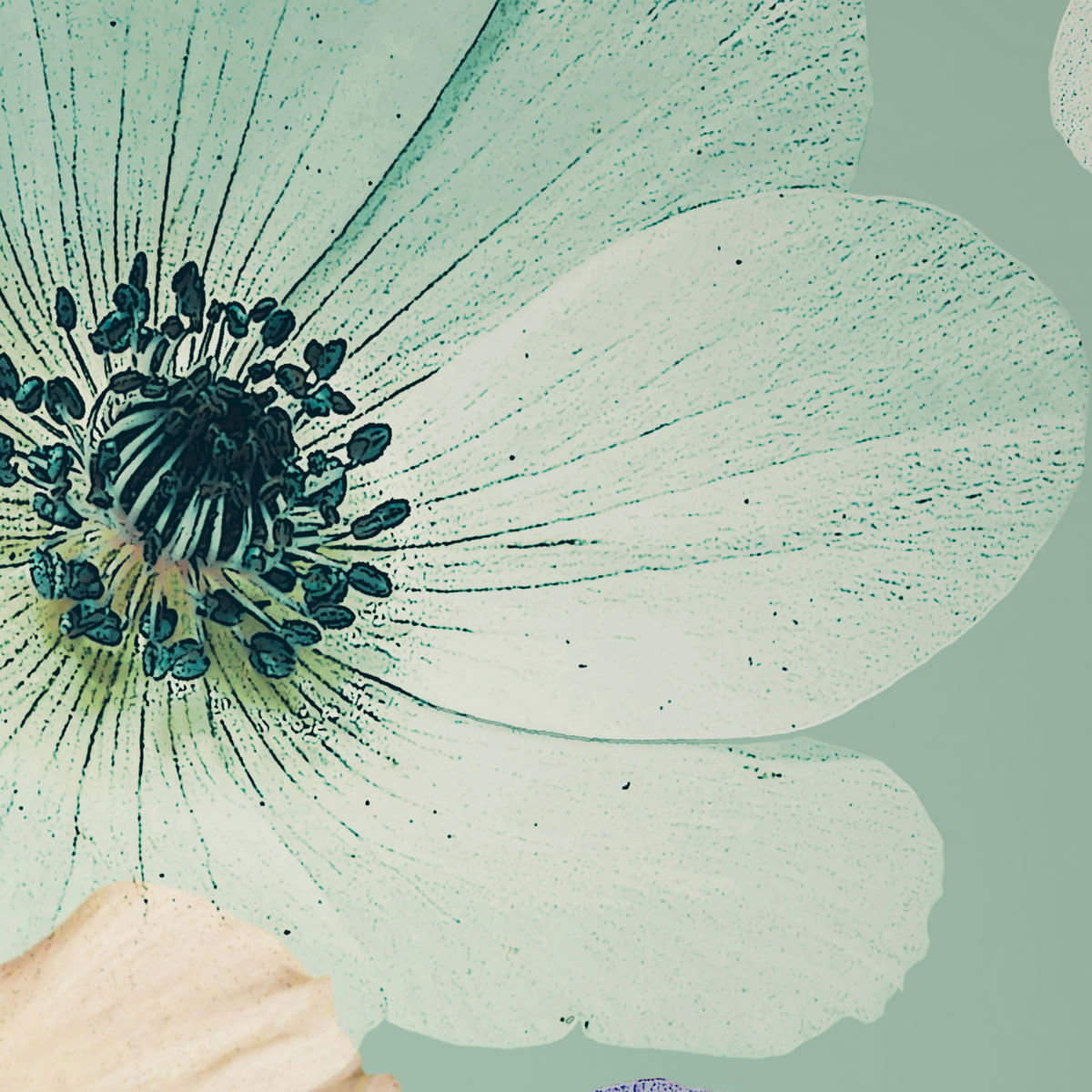 WENDEBETTWÄSCHE Satin 140/200 cm  - Grün, Textil (140/200cm) - Bio:Vio