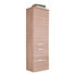 MIDISCHRANK 40/149,5/34,8 cm - Kastanienfarben/Chromfarben, Design, Glas/Holzwerkstoff (40/149,5/34,8cm) - Welnova MIDISCHRANK 40/149,5/34,8 cm - Kastanienfarben/Chromfarben, Design, Glas/Holzwerkstoff (40/149,5/34,8cm) - Welnova