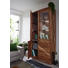 VITRINE Sheesham massiv Sheeshamfarben - Sheeshamfarben, Natur, Holz (103/205/40cm) - Carryhome