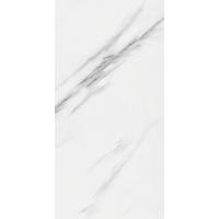 WANDPANEEL  - Weiß Hochglanz/Grau Hochglanz, MODERN, Kunststoff (60/30/0,37cm)