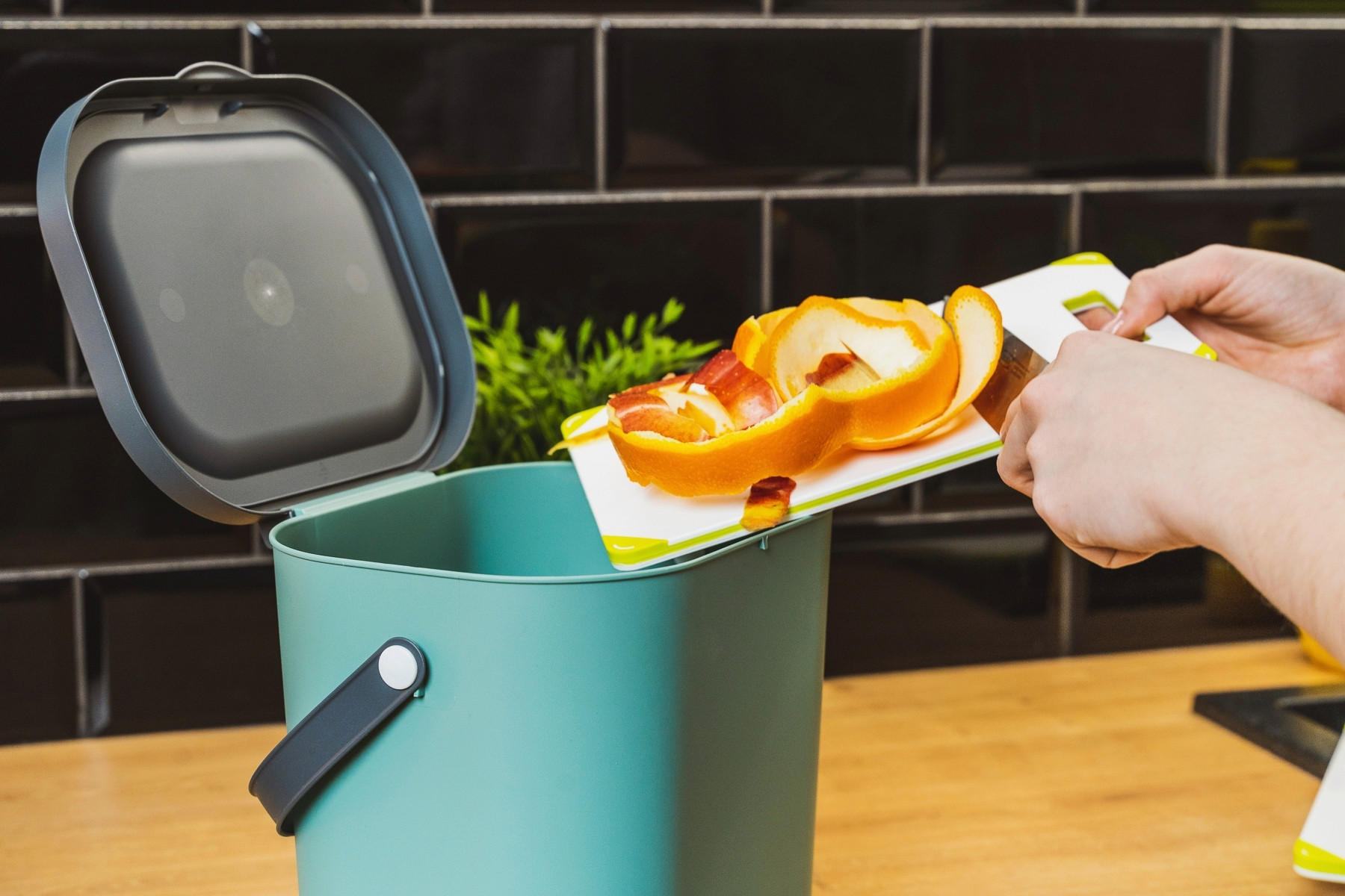 ABFALLSAMMLER ALBULA 6 L  - Türkis/Dunkelgrün, Basics, Kunststoff (23,5/20/20,8cm) - Rotho