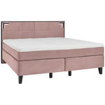 BOXSPRINGBETT 160/200 cm  in Rosa  - Schwarz/Rosa, Design, Holz/Textil (160/200cm) - Hom`in