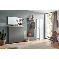 STENSKO OGLEDALO, 123/62/2 cm steklo  - siva, Design, steklo/les (123/62/2cm) - Dieter Knoll