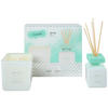 DIFFUSER 50 ml  - Weiß, Basics, Glas (50ml) - Ipuro