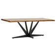 TISCHPLATTE      - Naturfarben, Design, Holz (220/100/5cm) - Landscape