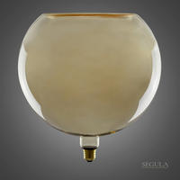 LED-FILAMENT-LEUCHTMITTEL E27 8 W 350 lm  - Grau, Basics, Glas (32/30cm)