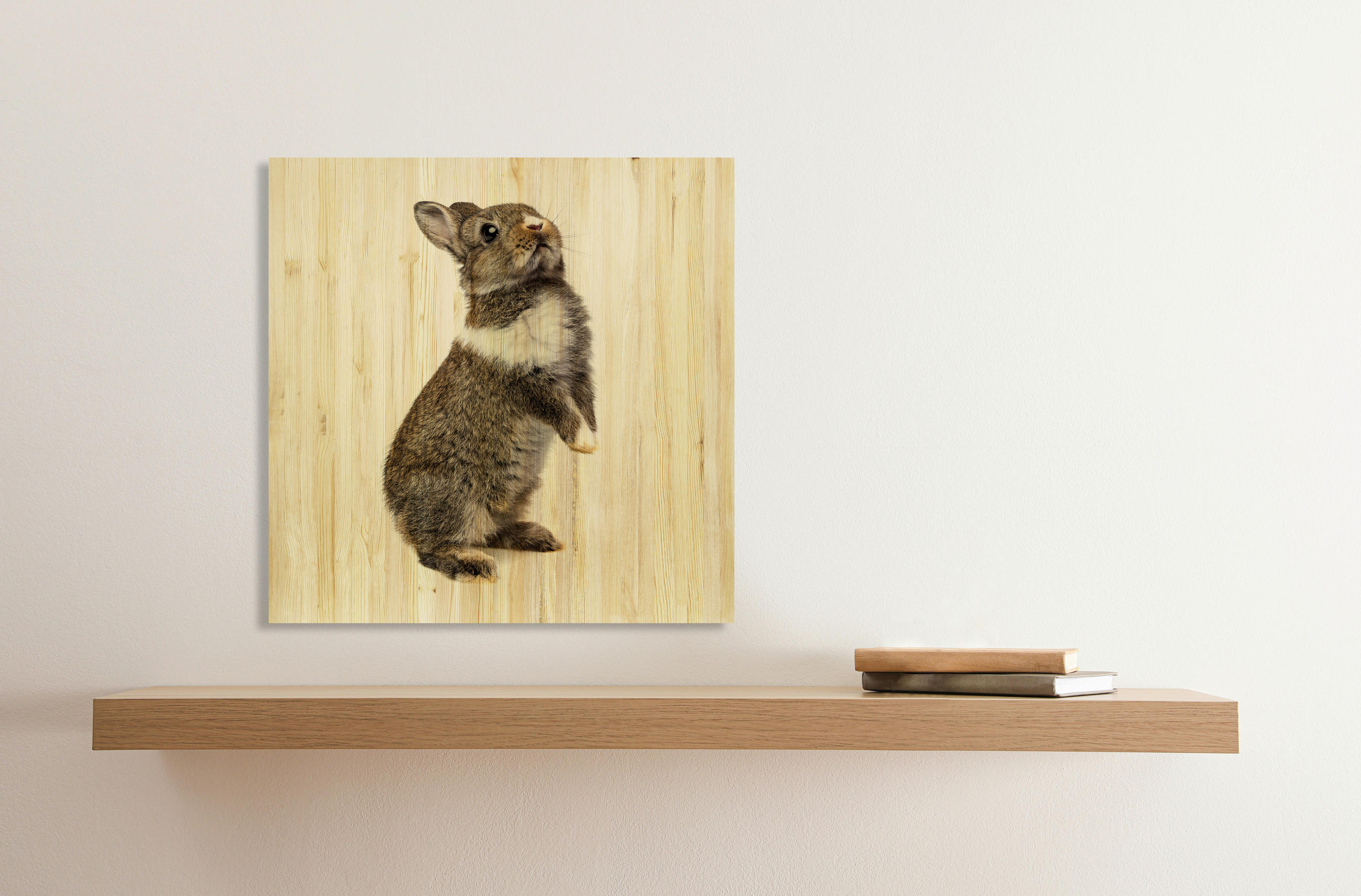 BABYWANDDEKO - Multicolor, Basics, Holz (50/50/3cm)