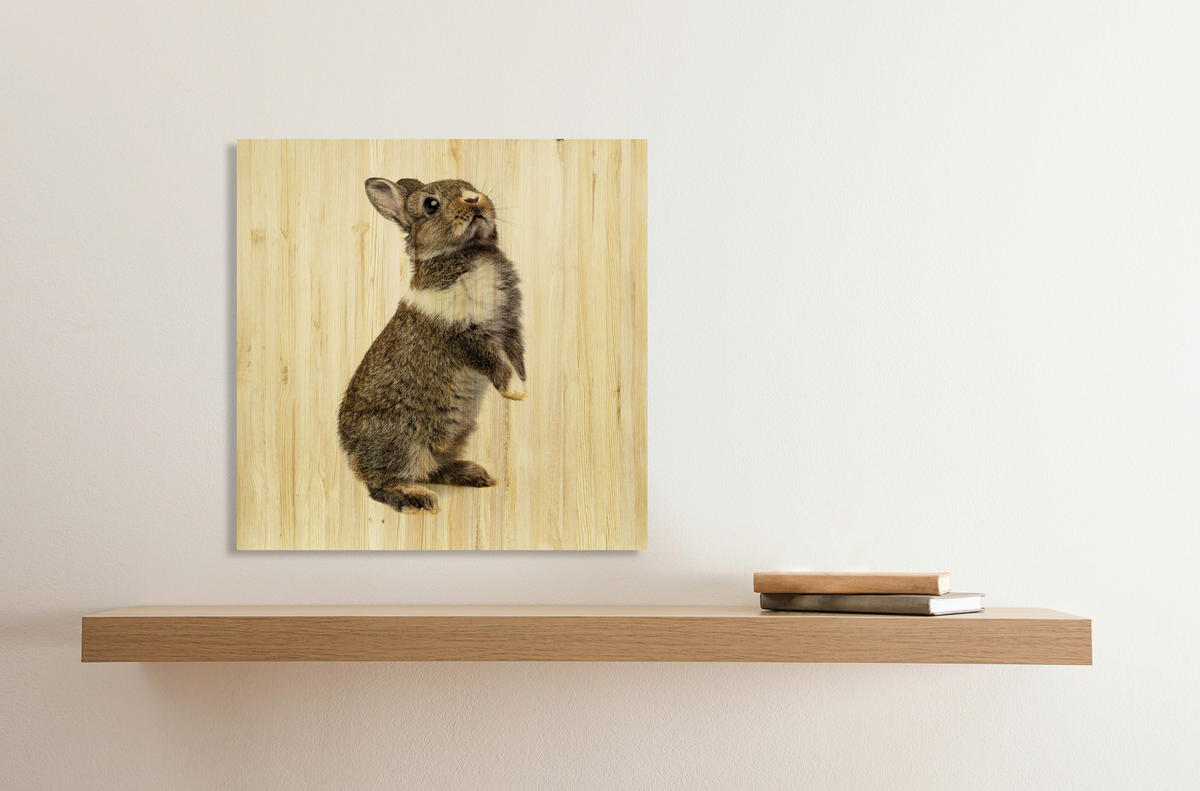 BABYWANDDEKO - Multicolor, Basics, Holz (50/50/3cm)