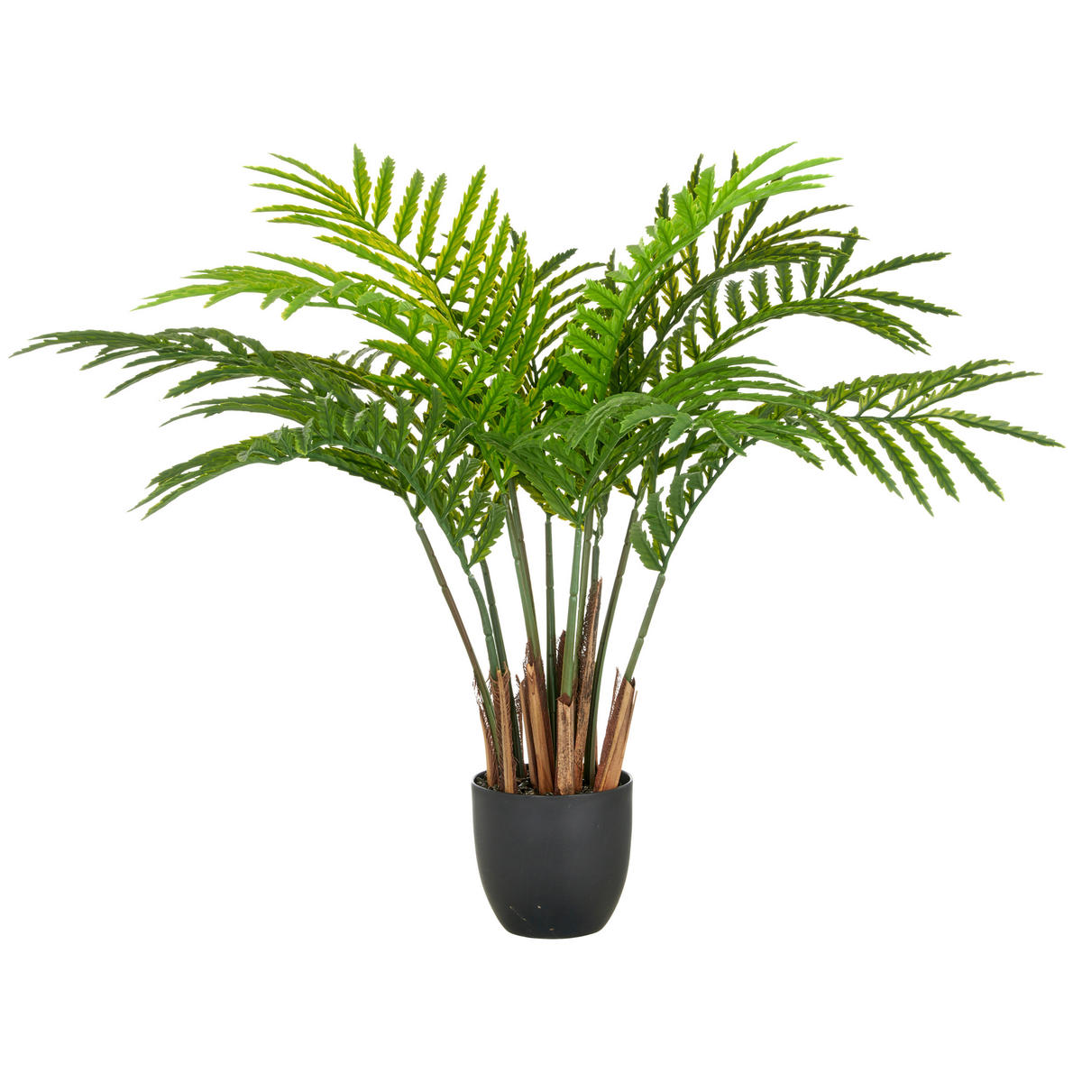 KUNSTPFLANZE Farn 80 cm  - Schwarz/Braun, Basics, Kunststoff (80cm) - P & B