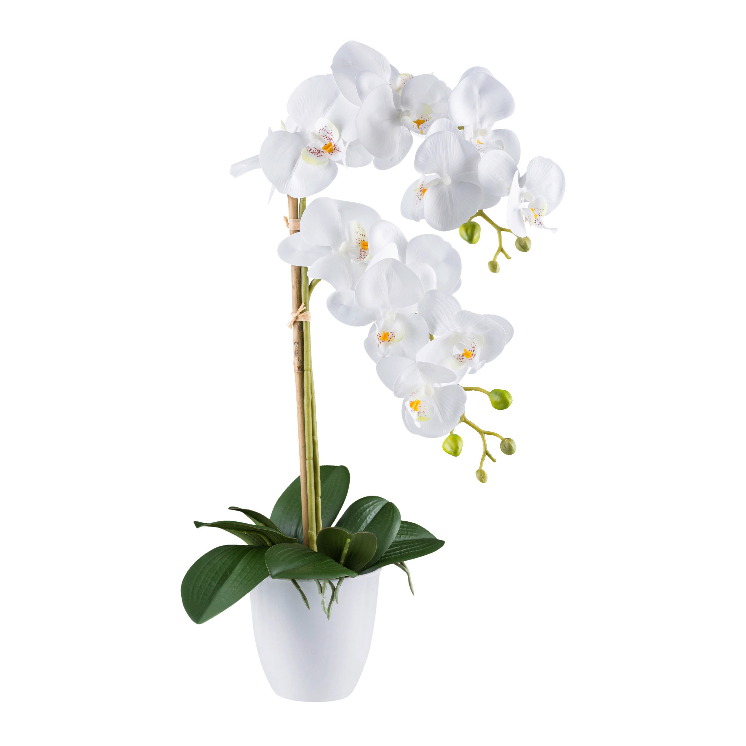 KUNSTPFLANZE Orchidee 56 cm  - Weiß/Grün, Design, Kunststoff (56cm) - P & B