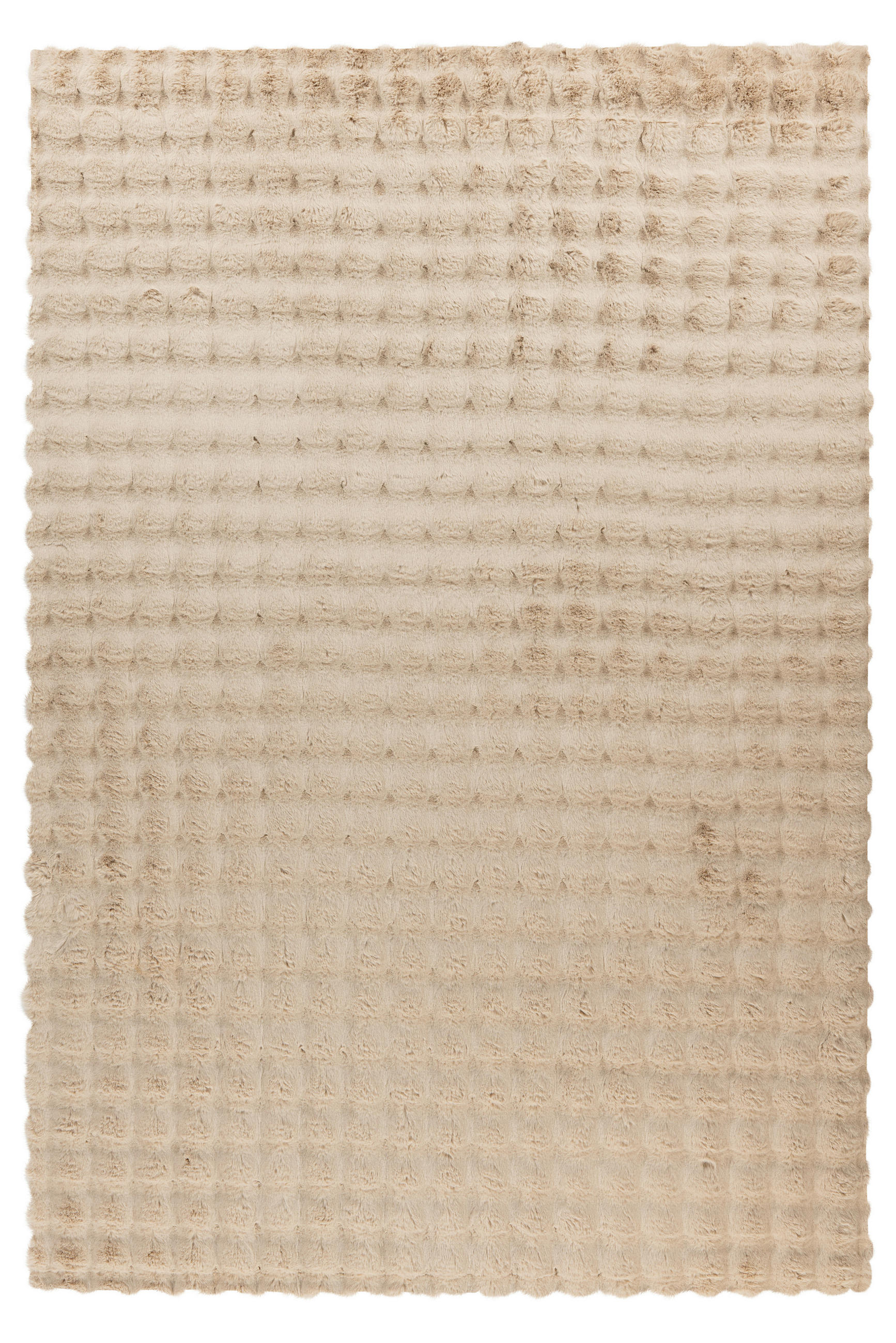 HOCHFLORTEPPICH 200/290 cm Beige  - Beige, KONVENTIONELL, Textil (200/290cm)