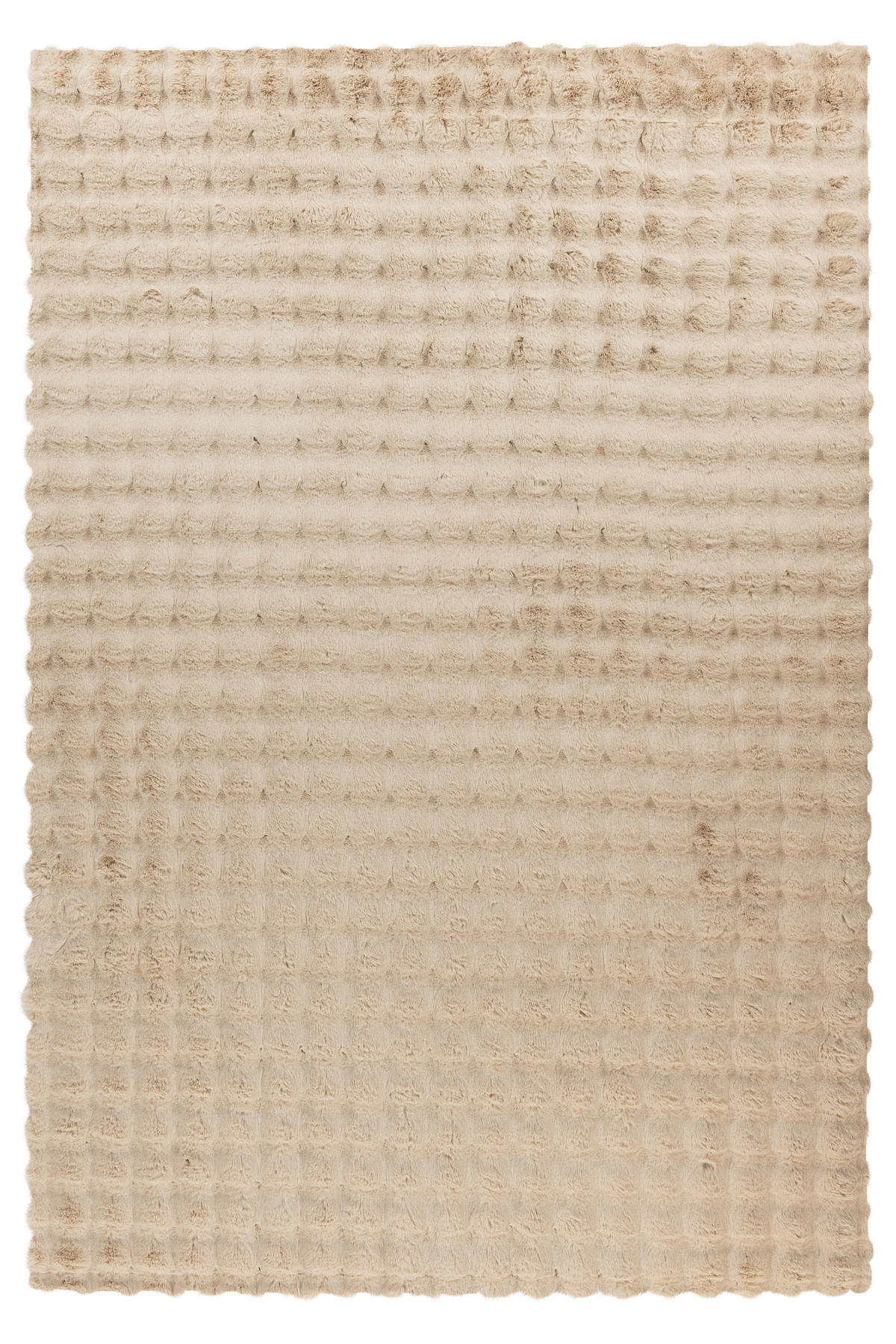HOCHFLORTEPPICH 200/290 cm Beige  - Beige, KONVENTIONELL, Textil (200/290cm)