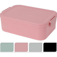 LUNCHBOX  - ljusgrön/ljusrosa, Trend, plast