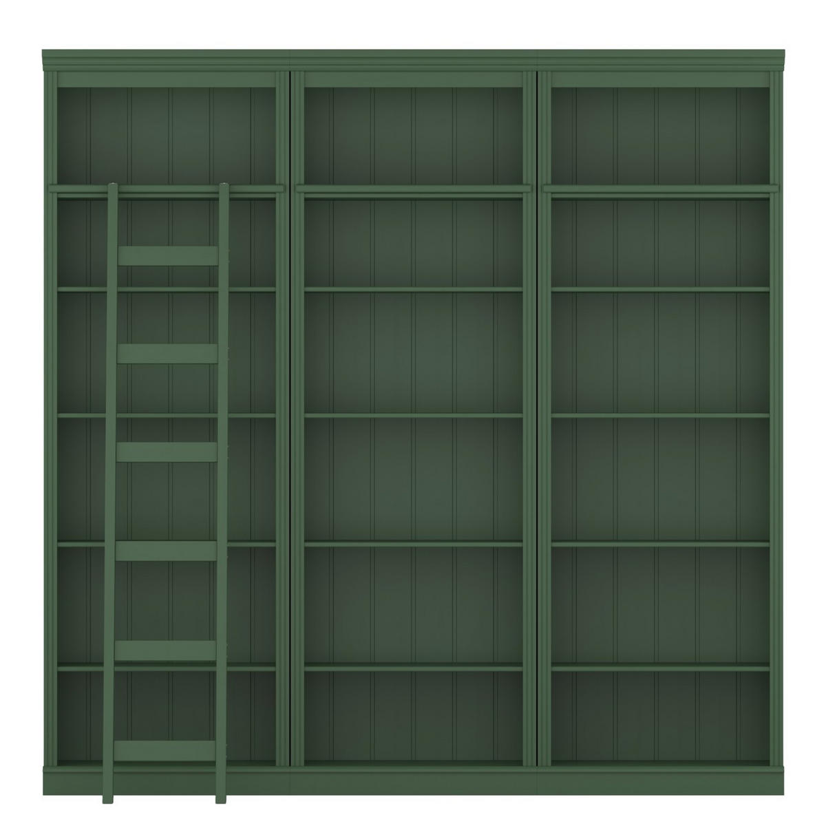 BÜCHERWAND Kiefer massiv Grün  - Grün, Design, Holz (222/223/37cm) - Livetastic