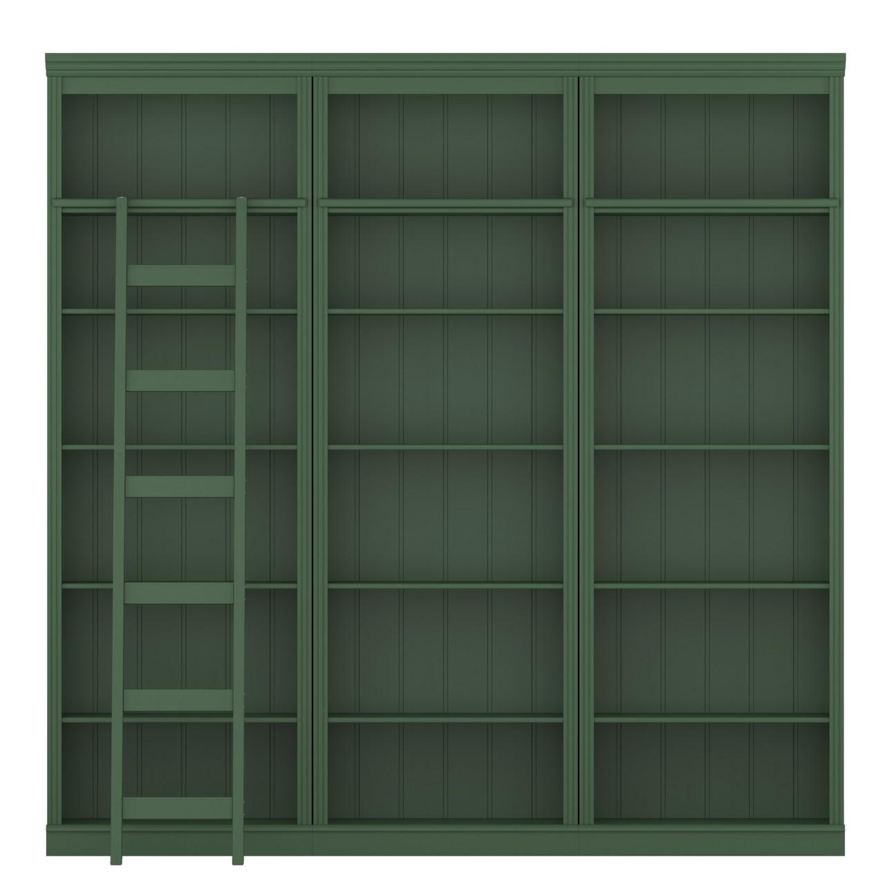 Livetastic Bücherwand Lillehammer Grün 223x222x34 cm