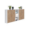 AKTENSCHRANK Weiß, Eichefarben  - Eichefarben/Weiß, MODERN, Holzwerkstoff (213/113/33cm) - MID.YOU