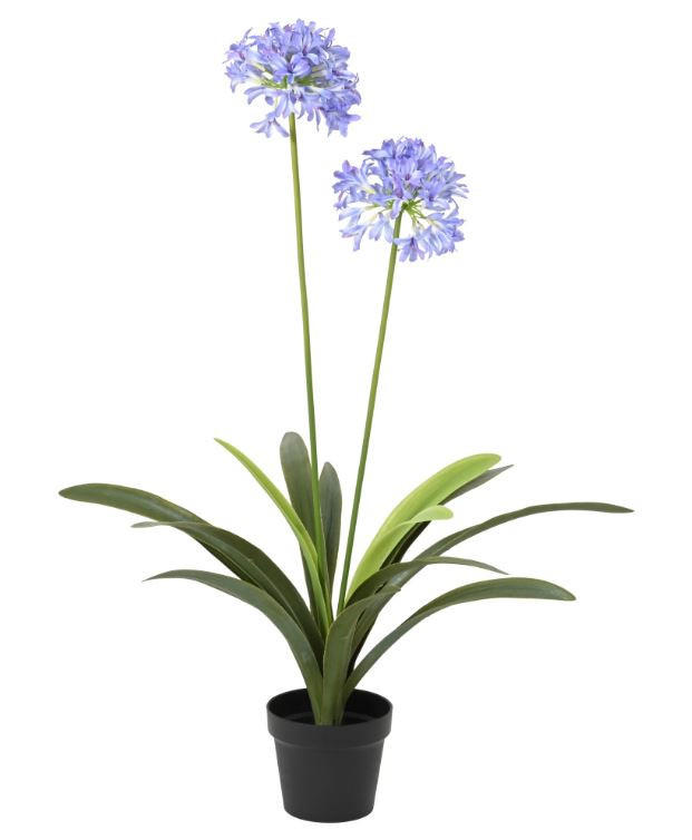 VEŠTAČKA BILJKA        80/105 cm      - Osnovno (80/105cm) - Ambia Home