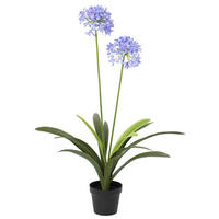 VEŠTAČKA BILJKA        80/105 cm      - Osnovno (80/105cm) - Ambia Home