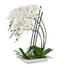 ORCHIDEE - Creme/Weiß, Basics, Kunststoff (62cm) ORCHIDEE - Creme/Weiß, Basics, Kunststoff (62cm)