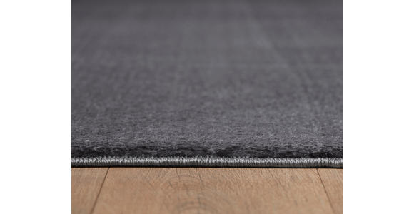 HOCHFLORTEPPICH 200/300 cm Catwalk Grau - Grau, Basics, Textil (200/300cm) - Novel