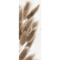 OBRAZ NA SKLE, rostliny, 30/80/1,40 cm - bílá/přírodní barvy, Natur, sklo (30/80/1,40cm) - Euroart