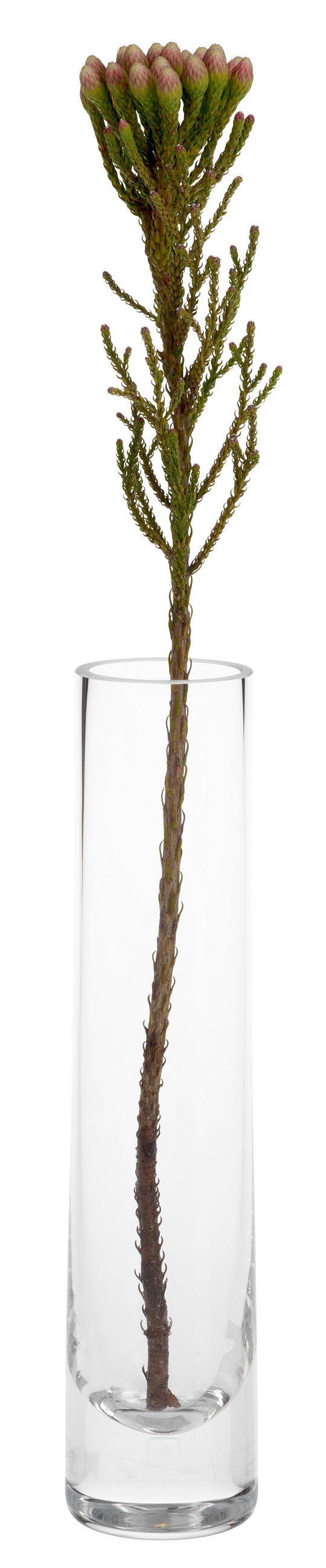 Leonardo Vase Novara Transparent 5x24x5 cm