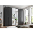DREHTÜRENSCHRANK  in Graphitfarben  - Schwarz/Graphitfarben, MODERN, Glas/Holzwerkstoff (270/225/52cm) - Carryhome