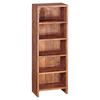 CD-REGAL Sheesham massiv Sheeshamfarben  - Sheeshamfarben, MODERN, Holz (30/90/17cm) - MID.YOU