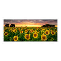 GLASBILD Landschaft & Natur 125/50 cm  - Multicolor, Basics, Glas/Papier (125/50cm)