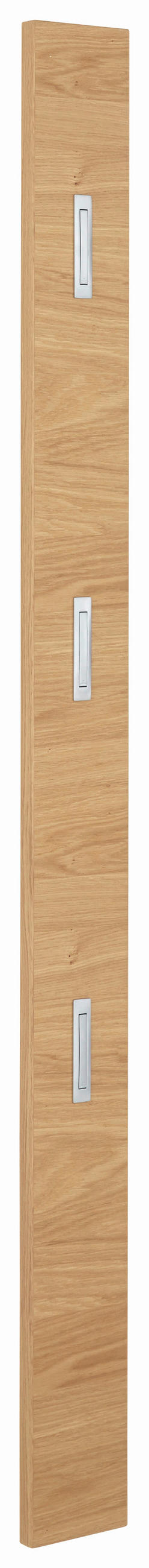 ŠATNÍ PANEL, barvy dubu, divoký dub, 14/170/3 cm - barvy dubu, Design, dřevo (14/170/3cm) - Novel