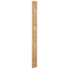 GARDEROBENPANEEL  in 14/170/3 cm  - Eichefarben, Design, Holz (14/170/3cm)