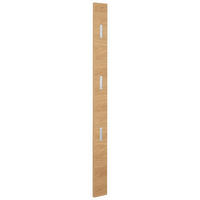 GARDEROBENPANEEL  in 14/170/3 cm  - Eichefarben, Design, Holz (14/170/3cm)