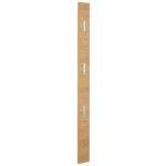 GARDEROBENPANEEL  in 14/170/3 cm  - Eichefarben, KONVENTIONELL, Holz (14/170/3cm) - Novel
