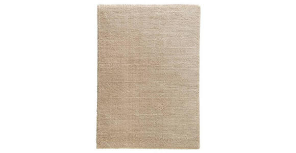 HOCHFLORTEPPICH 160/230 cm Salerno Hellbraun, Braun - Hellbraun/Braun, Basics, Textil (160/230cm) - Novel