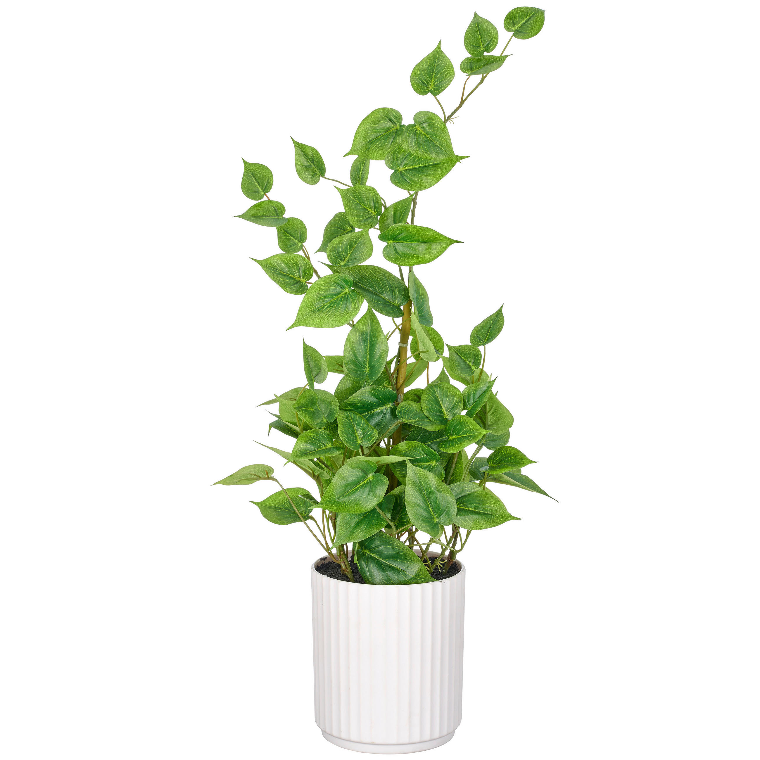 KUNSTPFLANZE Philodendron 60 cm  - Weiß/Grün, Basics, Kunststoff (60cm)